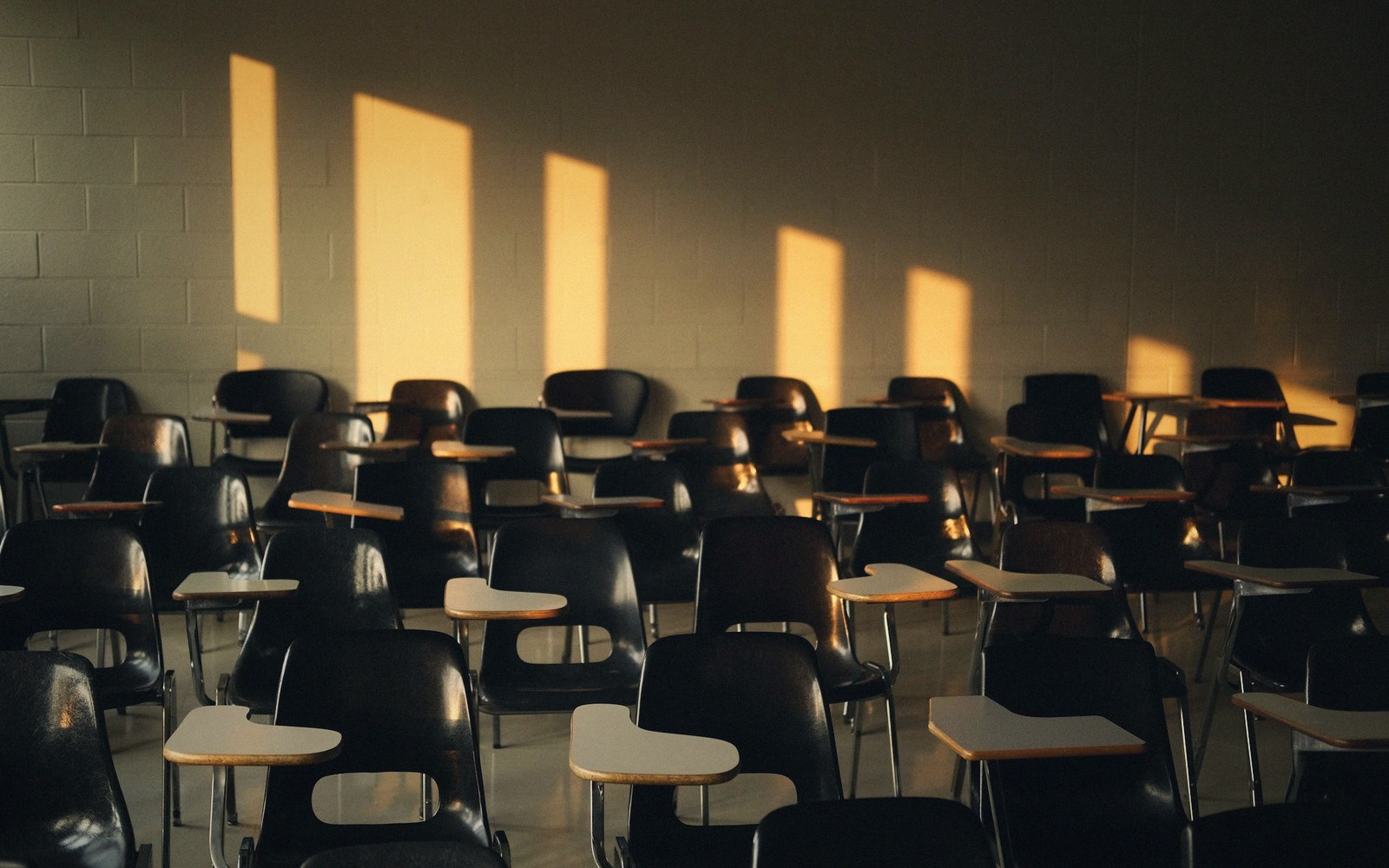 Learning Styles Don't Hold Up — Here's What Does
